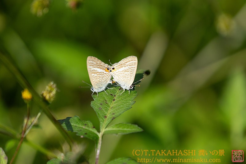 ../Images/7R241013 (71).jpg